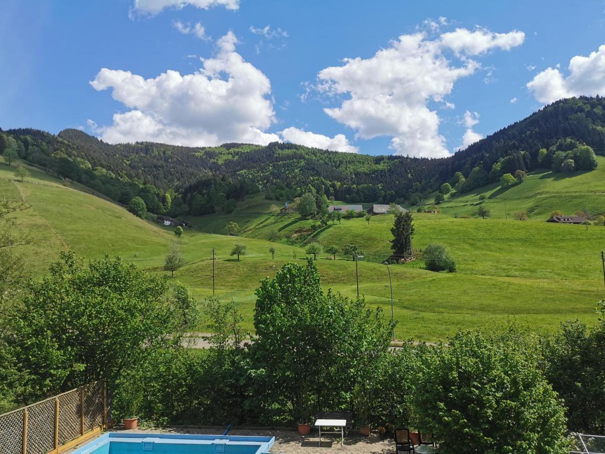 Ferienwohnung Vogelsang Im Schwarzwald Münstertal Exteriér fotografie