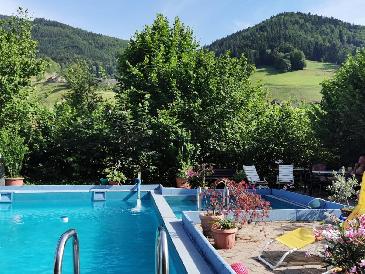 Ferienwohnung Vogelsang Im Schwarzwald Münstertal Exteriér fotografie