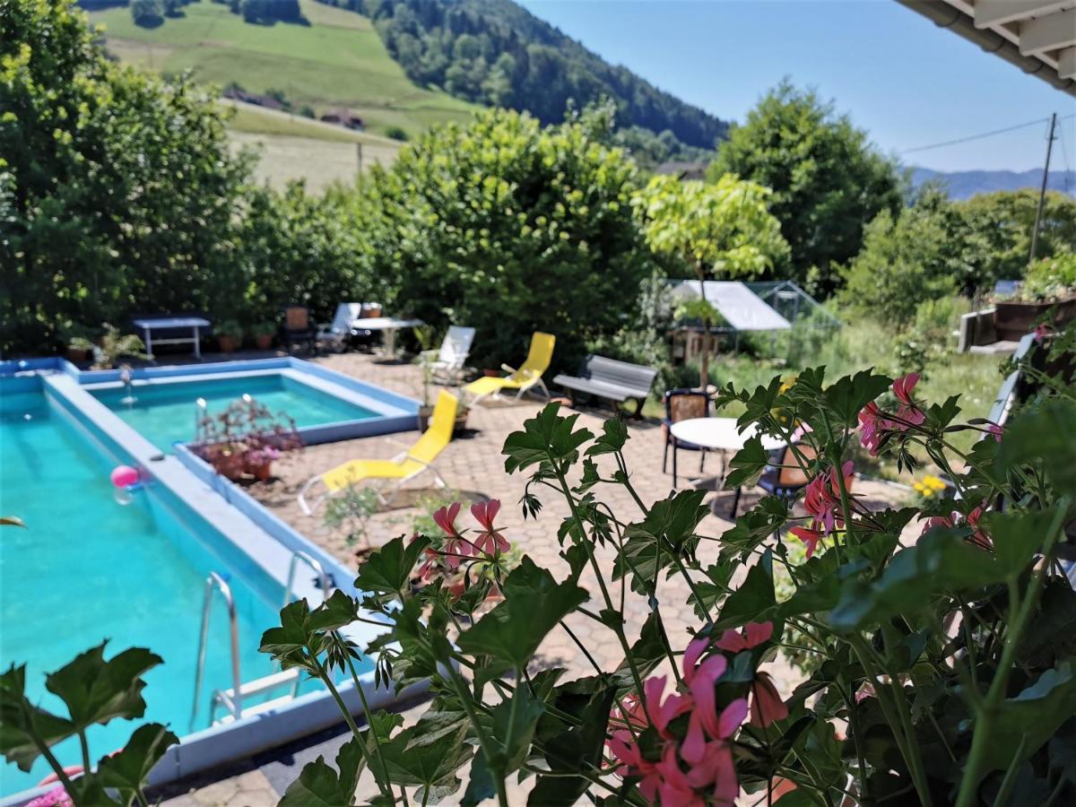 Ferienwohnung Vogelsang Im Schwarzwald Münstertal Exteriér fotografie