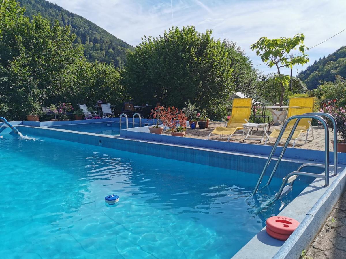 Ferienwohnung Vogelsang Im Schwarzwald Münstertal Exteriér fotografie