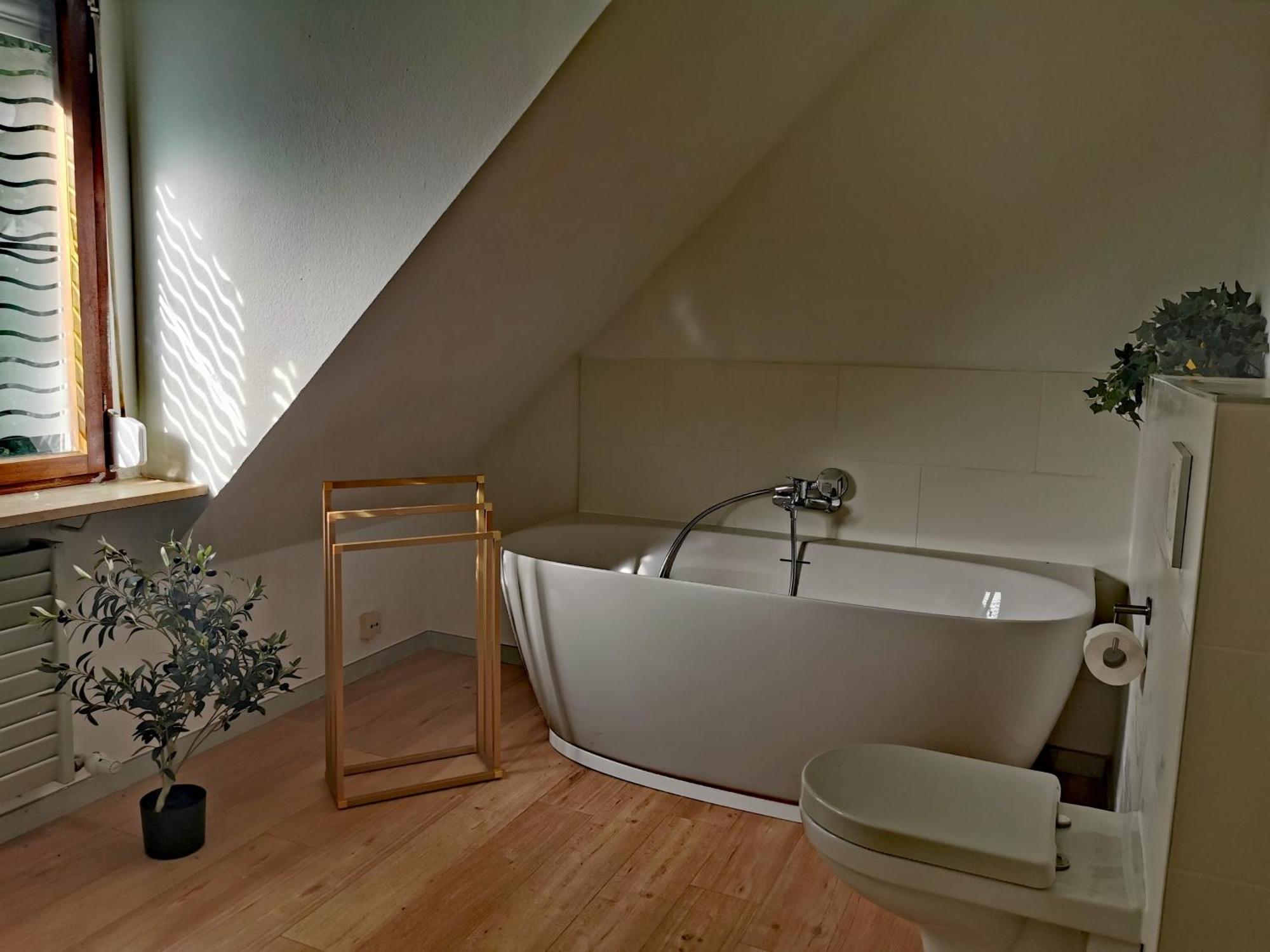 Ferienwohnung Vogelsang Im Schwarzwald Münstertal Exteriér fotografie