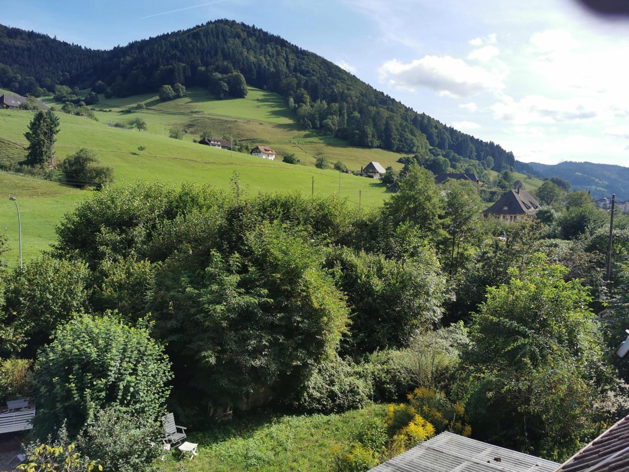Ferienwohnung Vogelsang Im Schwarzwald Münstertal Exteriér fotografie